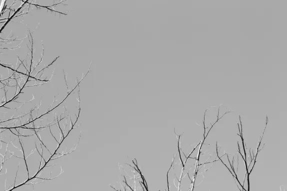 ΧΚασινο Καζίνο Υποστηριξη